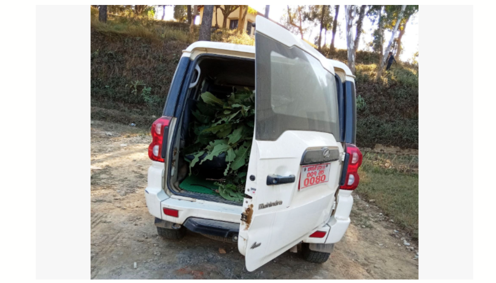 कर्णाली प्रदेश सरकारको गाडी शनिबार घाँस बोकेर हिडेको भेटिएपछि…….