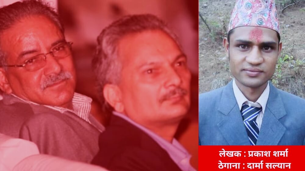 बाँचेकोमा गर्व गर, मरिजानेले के पाए ?