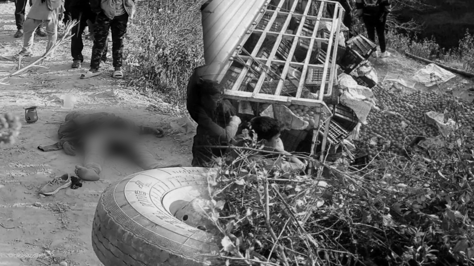 सल्यानमा सुन्तला बोकेको जिप दुर्घटना : चालकको मृत्यु